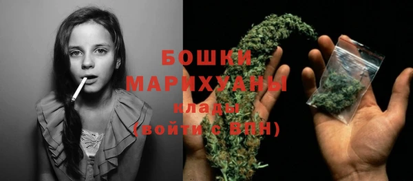 твердый Володарск