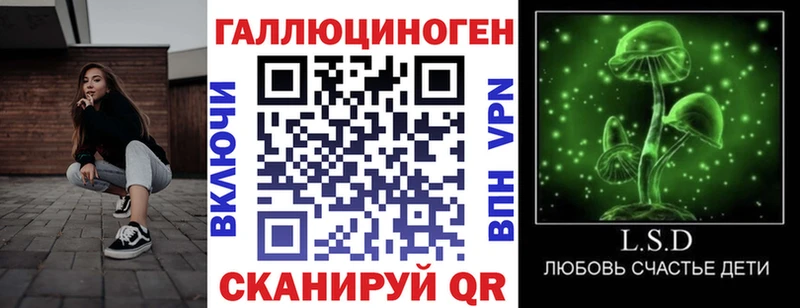 Галлюциногенные грибы Psilocybine cubensis  Ноябрьск 